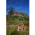 Team 90 / Raid Amazones Sri Lanka 2023 - J1 Trail