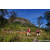 Team 80 / Raid Amazones Sri Lanka 2023 - J1 Trail