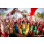 Raid Amazones Sri Lanka 2023 - J1 Trail