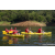 Team 303 / Raid Amazones Sri Lanka 2023 - J2 Canoe