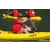 Team 90 / Raid Amazones Sri Lanka 2023 - J2 Canoe