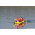 Team 309 / Raid Amazones Sri Lanka 2023 - J2 Canoe