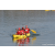 Team 302 / Raid Amazones Sri Lanka 2023 - J2 Canoe