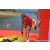 Team 04 / Raid Amazones Sri Lanka 2023 - J2 Canoe