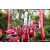 Team 13 / Raid Amazones Sri Lanka 2023 - J2 Canoe