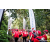 Team 43 / Raid Amazones Sri Lanka 2023 - J2 Canoe