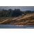 Team 74 / Raid Amazones Sri Lanka 2023 - J2 Canoe