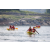 Team 53 / Raid Amazones Sri Lanka 2023 - J2 Canoe