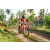 Team 33 / Raid Amazones Sri Lanka 2023 - J3 Bike - Run