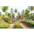 Team 07 / Raid Amazones Sri Lanka 2023 - J3 Bike - Run