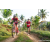 Team 41 / Raid Amazones Sri Lanka 2023 - J3 Bike - Run