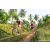 Team 310 / Raid Amazones Sri Lanka 2023 - J3 Bike - Run