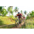 Team 337 / Raid Amazones Sri Lanka 2023 - J3 Bike - Run