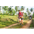 Team 38 / Raid Amazones Sri Lanka 2023 - J3 Bike - Run