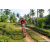 Team 85 / Raid Amazones Sri Lanka 2023 - J3 Bike - Run