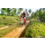 Team 22 / Raid Amazones Sri Lanka 2023 - J3 Bike - Run
