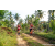 Team 87 / Raid Amazones Sri Lanka 2023 - J3 Bike - Run