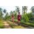Team 04 / Raid Amazones Sri Lanka 2023 - J3 Bike - Run