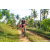 Team 51 / Raid Amazones Sri Lanka 2023 - J3 Bike - Run