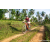 Team 60 / Raid Amazones Sri Lanka 2023 - J3 Bike - Run