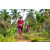 Team 37 / Raid Amazones Sri Lanka 2023 - J3 Bike - Run