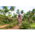 Team 28 / Raid Amazones Sri Lanka 2023 - J3 Bike - Run