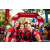 Team 03 / Raid Amazones Sri Lanka 2023 - J3 Bike - Run