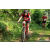 Team 33 / Raid Amazones Sri Lanka 2023 - J3 Bike - Run
