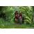 Team 41 / Raid Amazones Sri Lanka 2023 - J3 Bike - Run