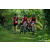 Team 337 / Raid Amazones Sri Lanka 2023 - J3 Bike - Run