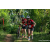 Team 05 / Raid Amazones Sri Lanka 2023 - J3 Bike - Run