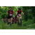 Team 324 / Raid Amazones Sri Lanka 2023 - J3 Bike - Run