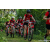 Team 324 / Raid Amazones Sri Lanka 2023 - J3 Bike - Run