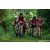Team 38 / Raid Amazones Sri Lanka 2023 - J3 Bike - Run