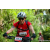 Team 336 / Raid Amazones Sri Lanka 2023 - J3 Bike - Run