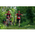Team 69 / Raid Amazones Sri Lanka 2023 - J3 Bike - Run