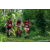 Team 70 / Raid Amazones Sri Lanka 2023 - J3 Bike - Run