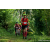 Team 39 / Raid Amazones Sri Lanka 2023 - J3 Bike - Run