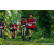 Team 32 / Raid Amazones Sri Lanka 2023 - J3 Bike - Run