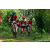 Team 90 / Raid Amazones Sri Lanka 2023 - J3 Bike - Run