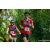 Team 01 / Raid Amazones Sri Lanka 2023 - J3 Bike - Run