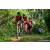Team 323 / Raid Amazones Sri Lanka 2023 - J3 Bike - Run
