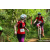 Team 37 / Raid Amazones Sri Lanka 2023 - J3 Bike - Run