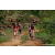 Team 301 / Raid Amazones Sri Lanka 2023 - J3 Bike - Run