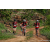 Team 53 / Raid Amazones Sri Lanka 2023 - J3 Bike - Run