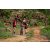 Team 74 / Raid Amazones Sri Lanka 2023 - J3 Bike - Run