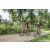 Team 55 / Raid Amazones Sri Lanka 2023 - J3 Bike - Run