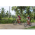 Team 55 / Raid Amazones Sri Lanka 2023 - J3 Bike - Run