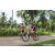 Team 26 / Raid Amazones Sri Lanka 2023 - J3 Bike - Run