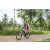 Team 317 / Raid Amazones Sri Lanka 2023 - J3 Bike - Run